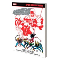 DAREDEVIL EPIC COLLECTION INTO THE FIRE TP - D.G. Chichester, Various