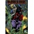 BLOOD AND DUST TP VOL 01 LIFE AND UNDEATH -  Michael A. Martin, Adam Orndorf