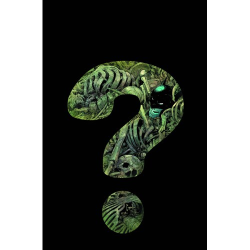 BATMAN #29 BLANK VAR ED - Scott Snyder