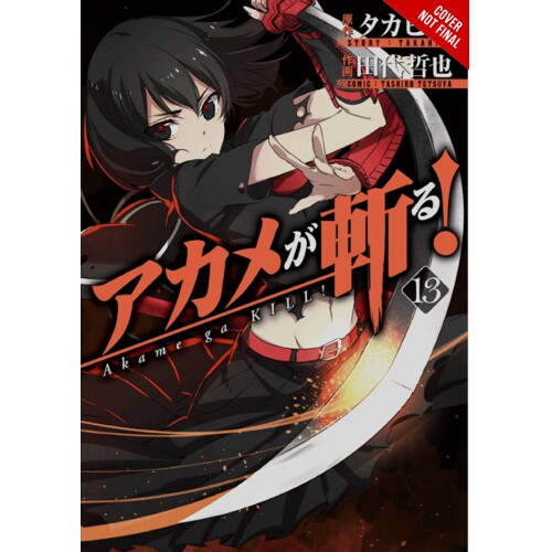 AKAME GA KILL GN VOL 13 - Takahiro