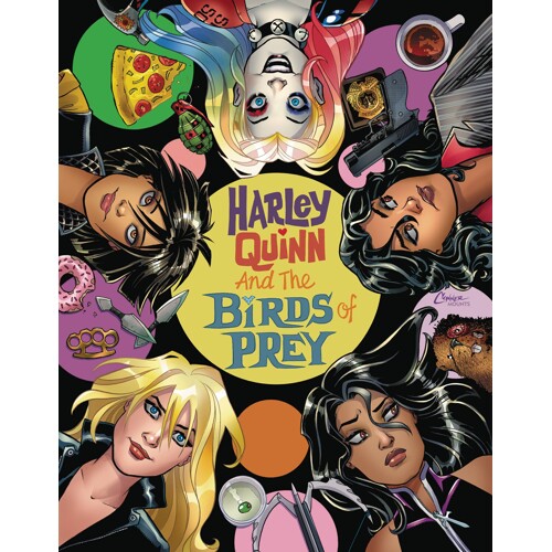 HARLEY QUINN & THE BIRDS OF PREY #2 (OF 4) (MR) - Jimmy Palmiotti, Amanda Conner