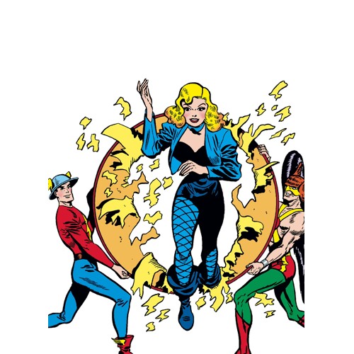 BLACK CANARY BIRD OF PREY TP