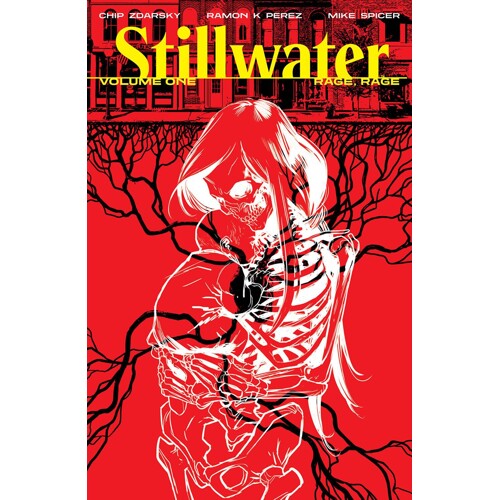 STILLWATER BY ZDARSKY & PEREZ TP VOL 01 (MR) - Chip Zdarsky