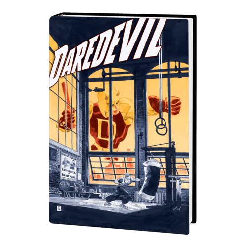 JEPH LOEB AND TIM SALE DAREDEVIL GALLERY EDITION HC - Jeph Loeb