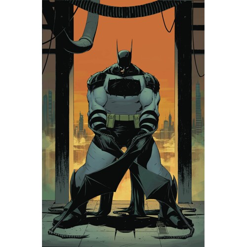 ABSOLUTE BATMAN HC VOL 01 THE ZOO - Scott Snyder