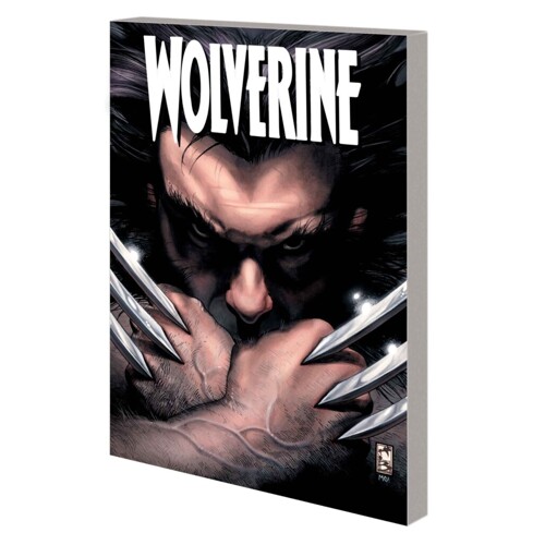 WOLVERINE THE DEATH AND LIFE OF SABRETOOTH TP - JEPH LOEB