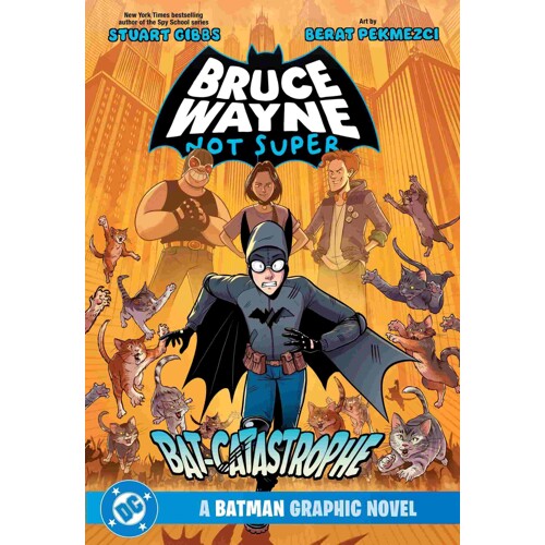 BRUCE WAYNE NOT SUPER THE BAT-CATASTROPHE A BATMAN GRAPHIC NOVEL TP - Stuart Gibbs