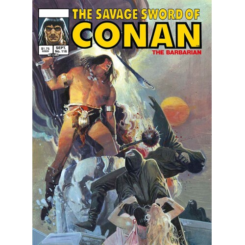 SAVAGE SWORD OF CONAN ORIGINAL COMICS OMNIBUS VOL 08 DIRECT MARKET EDITION BILL SIENKIEWICZ CVR (MR) - Charles M. Schulz