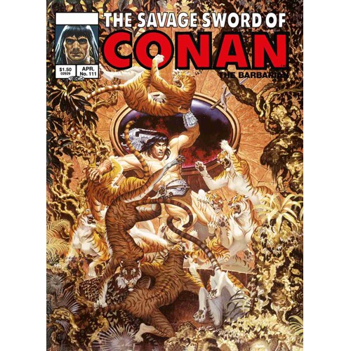 SAVAGE SWORD OF CONAN ORIGINAL COMICS OMNIBUS VOL 08 REGULAR EDITION STEPHEN HICKMAN (MR) - Roy Thomas, Michael Fleisher