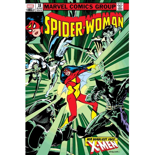 SPIDER-WOMAN OMNIBUS HC CVR B STEVE LELALOHA DIRECT MARKET EXCLUSIVE COVER -