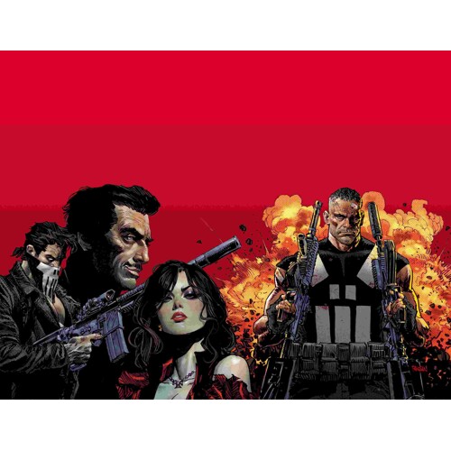 MARVEL KNIGHTS: PUNISHER TP - Jimmy Palmiotti
