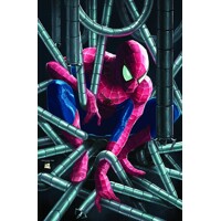 AMAZING SPIDER-MAN #1 2ND PTG CHOO VAR ANMN - Dan Slott &amp; Various