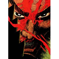 RONIN DELUXE EDITION HC - Frank Miller