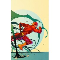 FLASH HC VOL 05 HISTORY LESSONS (N52) - Brian Buccellato &amp; Various
