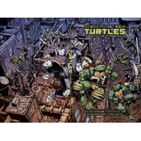 TMNT ANNUAL 2012 DLX LTD HC