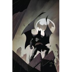 BATMAN HC VOL 09 BLOOM - Scott Snyder