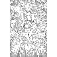 FLASH AN ADULT COLORING BOOK TP - Francis Manapul &amp; Various