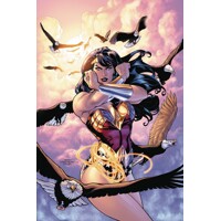 WONDER WOMAN WHO IS WONDER WOMAN TP NEW ED - Allan Heinberg