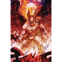 DEATH OF HAWKMAN TP - Marc Andreyko