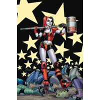 HARLEY QUINN BY CONNER &amp; PALMIOTTI OMNIBUS HC VOL 01 - Amanda Conner, Jimmy Pa...