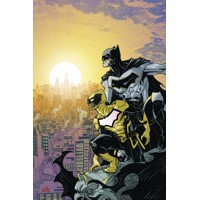 BATMAN AND THE SIGNAL TP - Scott Snyder, Tony Patrick