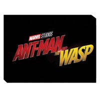 MARVELS ANT-MAN AND WASP ART OF MOVIE HC - Eleni Roussos