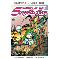 SWORDS OF SWASHBUCKLERS TP - Bill Mantlo