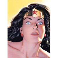 WONDER WOMAN SPIRIT OF TRUTH HC - Paul Dini, Alex Ross