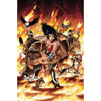 WONDER WOMAN COME BACK TO ME TP - Amanda Conner, Jimmy Palmiotti