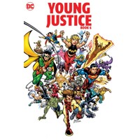 YOUNG JUSTICE TP BOOK 06