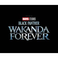 MARVEL STUDIOS BLACK PANTHER WAKANDA FOREVER ART MOVIE TP - Jess Harrold