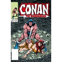CONAN BARBARIAN ORIG OMNIBUS DIRECT MKT ED HC VOL 07 (MR) - Jim Owsley, Don Ka...