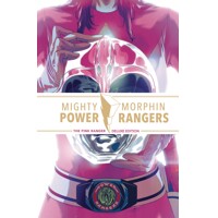 MIGHTY MORPHIN POWER RANGERS HC THE PINK RANGER DLX ED - Amy Jo Johnson, Matt ...