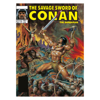SAVAGE SWORD CONAN ORIGINAL COMICS OMNIBUS HC VOL 11 NOREM - Chuck Dixon, Doug...
