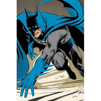 Batman By Neal Adams Absolute Edition Vol. 1 - Dennis O'Neil, Bob Haney, Leo Dorfman