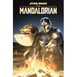 STAR WARS: THE MANDALORIAN SEASONS ONE &amp; TWO TP - Rodney Barnes