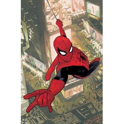 AMAZING SPIDER-MAN: TORN TP - J. Michael Straczynski