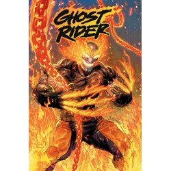 GHOST RIDER BY BENJAMIN PERCY OMNIBUS HC CVR B RYAN STEGMAN DIRECT MARKET EXCL...