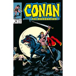 CONAN THE BARBARIAN THE ORIGINAL COMICS OMNIBUS VOL 08 DIRECT MARKET EDITION A...