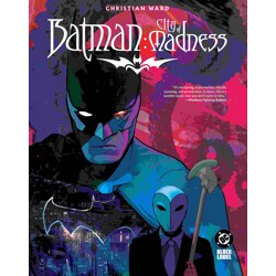 BATMAN CITY OF MADNESS TP (MR) - Christian Ward