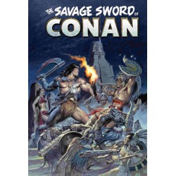 SAVAGE SWORD OF CONAN THE ORIGINAL COMICS OMNIBUS HC VOL 12 EARL NOREM DIRECT ...