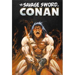 SAVAGE SWORD OF CONAN THE ORIGINAL COMICS OMNIBUS HC VOL 12 JUSKO REGULAR EDIT...
