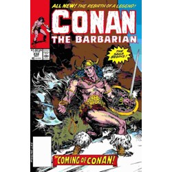 CONAN THE BARBARIAN THE ORIGINAL COMICS OMNIBUS HC VOL 09 REGULAR EDITION MICH...