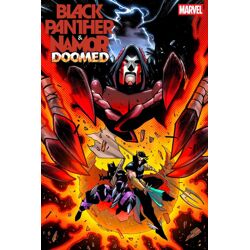 BLACK PANTHER/NAMOR: DOOMED #2 CVR C VAR