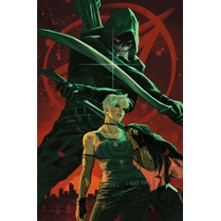 ABSOLUTE GREEN ARROW #6 (OF 12) CVR D LESLEY LEIRIX LI CARD STOCK VAR