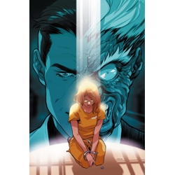 BARBARA GORDON BREAKOUT #6 CVR A KARL KERSCHL