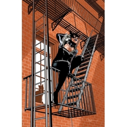 CATWOMAN #92 CVR C CHARLIE ADLARD CARD STOCK VAR (BATMAN BAD SEEDS)