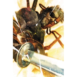 DEATHSTROKE THE TERMINATOR #8 CVR C SEBASTIAN FIUMARA CARD STOCK VAR