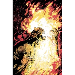 DEMON #1 CVR C MICHAEL WALSH CARD STOCK VAR