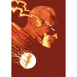 FLASH #38 CVR C RAUL ALLEN CARD STOCK VAR